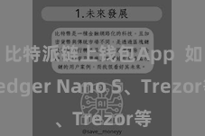 比特派链上钱包App 如Ledger Nano S、Trezor等