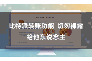 比特派转账功能  切勿裸露给他东说念主