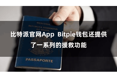 比特派官网App  Bitpie钱包还提供了一系列的援救功能