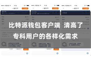 比特派钱包客户端  清高了专科用户的各样化需求