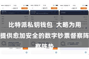 比特派私钥钱包  大略为用户提供愈加安全的数字钞票督察阵势