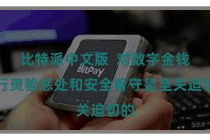 比特派中文版  对数字金钱进行灵验惩处和安全看守是至关迫切的