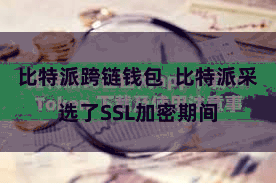比特派跨链钱包  比特派采选了SSL加密期间