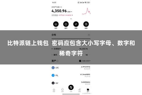 比特派链上钱包  密码应包含大小写字母、数字和稀奇字符
