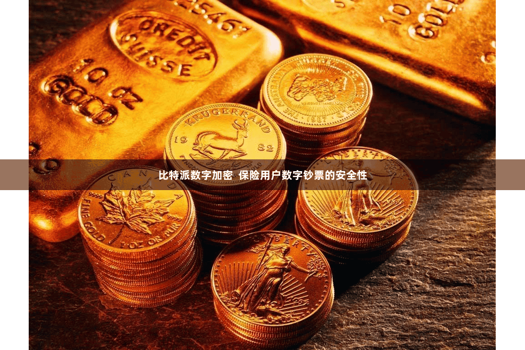 比特派数字加密  保险用户数字钞票的安全性