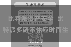 比特派资产安全  比特派多链不休应时而生